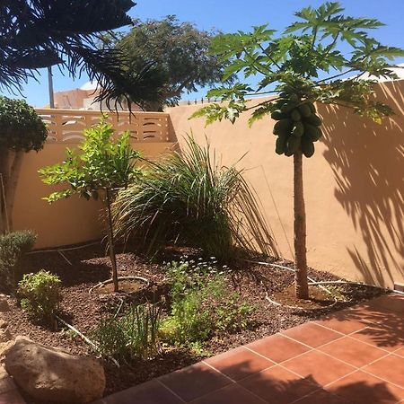 Independiente Estudio En Acogedora Casita De Mai أذيخي المظهر الخارجي الصورة