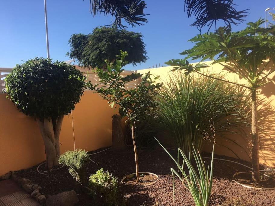 Independiente Estudio En Acogedora Casita De Mai أذيخي المظهر الخارجي الصورة