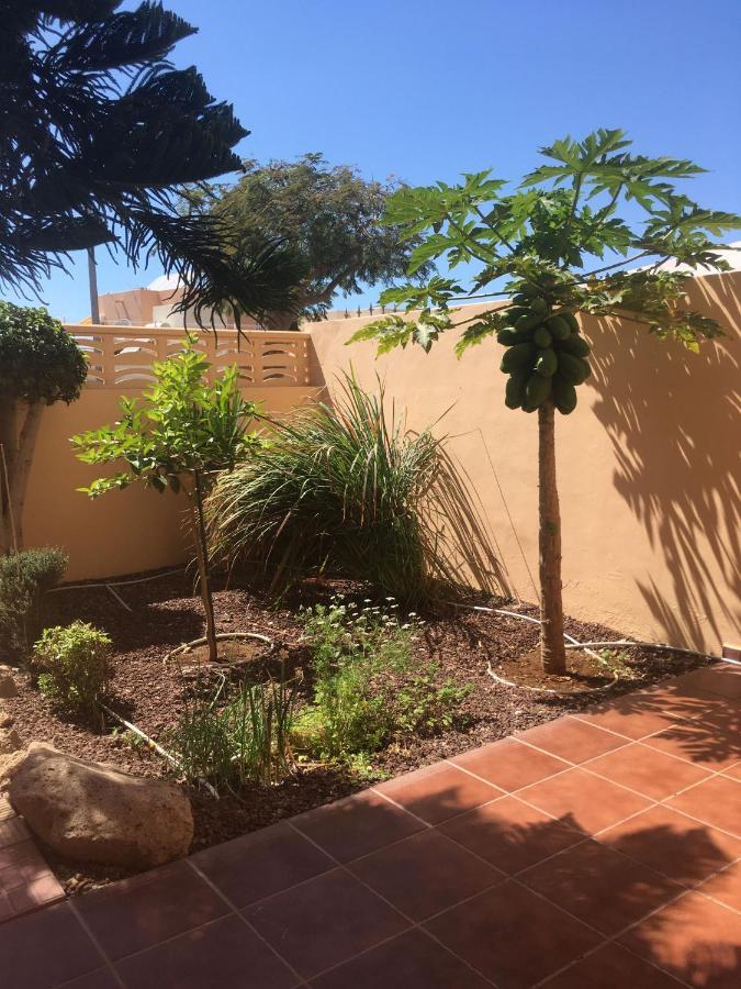 Independiente Estudio En Acogedora Casita De Mai أذيخي المظهر الخارجي الصورة